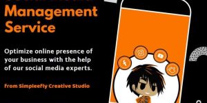 Social Media Marketing Service