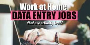 Online Data Entry Work
