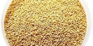 Natural Foxtail Millet Seeds
