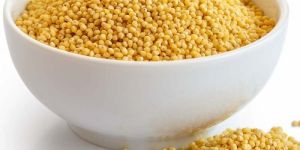 Unpolished Foxtail Millet Seeds