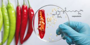 Pure Natural Capsaicin USP