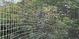 Rebon Home Protection Net For Bird & Animal