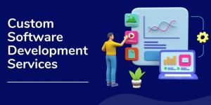 Custom Software Development Service