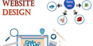 Dynamic Website Designing Service