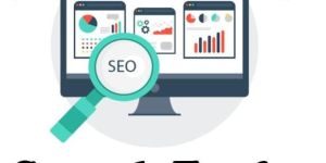 Search Engine Optimization Service