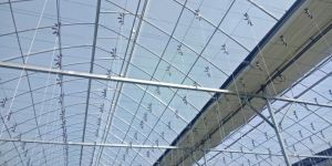 Spanish Korean Style Green House