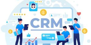 Crm Development Services