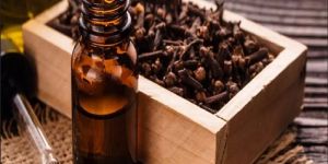 Clove Oil