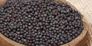 Black Mustard Seeds