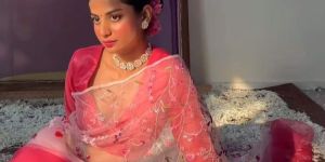 Organza Embroidery Work Silk Saree