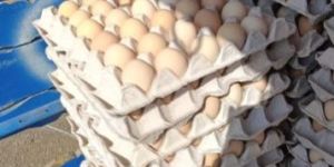Eggs