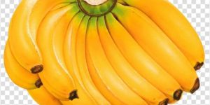 Fresh Banana