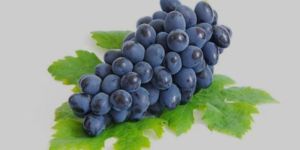 Fresh Grape