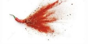 Dry Red Chilli Powder