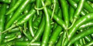 Green Chilli