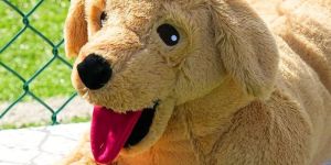 Labrador Dog Soft Toy