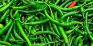 Green Chilli