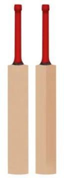 Kashmiri Willow Cricket Bat