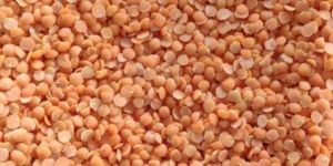 Red Split Lentils