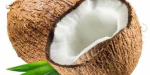 Semi Husked Coconuts