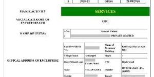 Msme Registration Consultancy