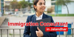 Immigration Consultants
