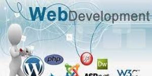 Website Designing and Development