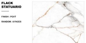 Glazed Vitrified Tiles