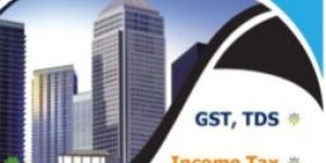 Gst Consultant