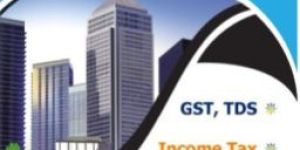 Income Tax Consultant