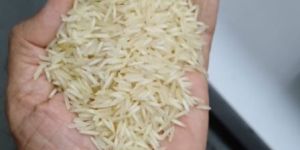 1509 Basmati Rice