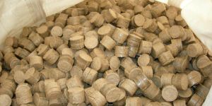 Biocoal Briquettes
