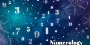 Numerologists Service