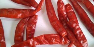 Dry Red Chili
