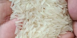 1121 Basmati Rice