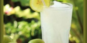 SALTY LEMON SOFT DRINKS CONCENTRATE