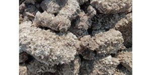 Marine Gypsum Lumps