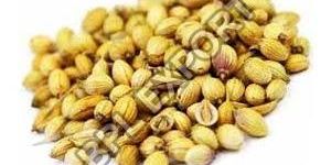 Coriander Seeds