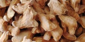 Dry Ginger