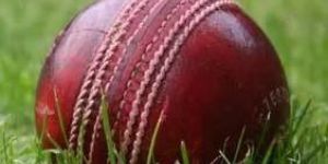 Leather Cricket Ball
