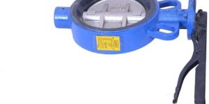 Butterfly Valve