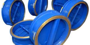 Dual Plate Check Valve