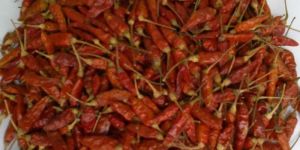 Birds Eye Red Chilli