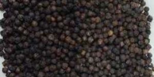 Black Pepper Seeds