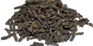Long Pepper