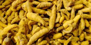 Assam Yellow Turmeric Finger