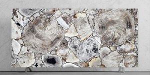 White Petrified Wood