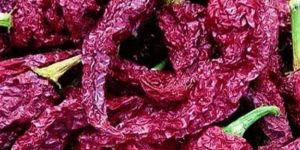 Byadgi Chilli (Dabbi)