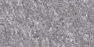 Double Charge Vitrified Tiles
