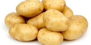 Fresh Organic Potato